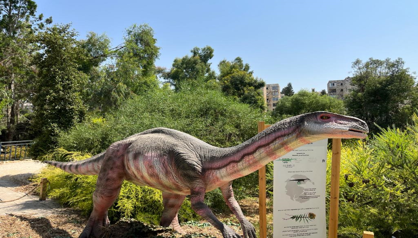 בוטניזאור בגן הבוטני בירושלים